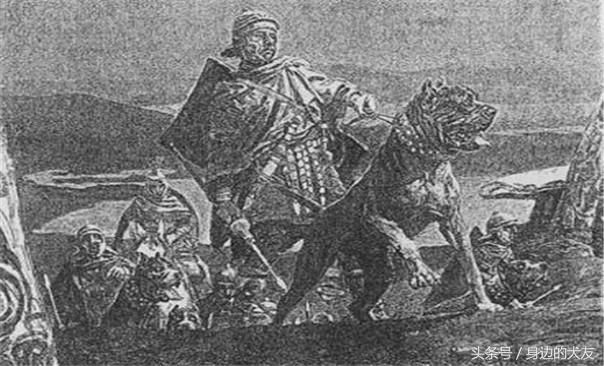 历史悠久的猛犬老照片,护卫卡斯罗犬的见证