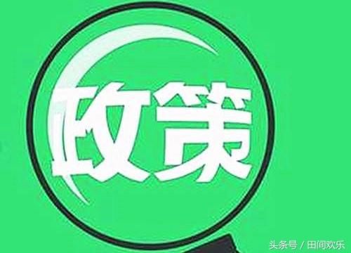 农村新机会！土地确权完成后或将三种人暴富！机会就在农村