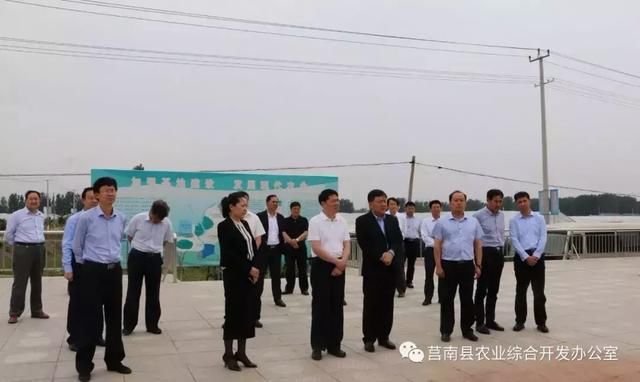 市委市政府主要负责同志等部分市级领导分别带