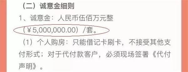 全民\＂打新买房\＂时代正来?交500万诚意金 仅获摇号资格