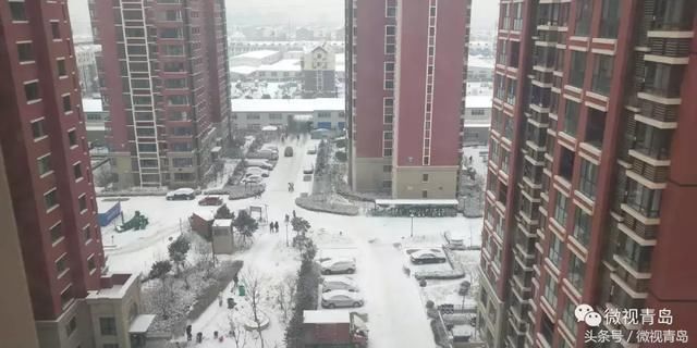 12℃+突降“暴”雪的夜晚，青岛那些不着急回家的人……致敬！