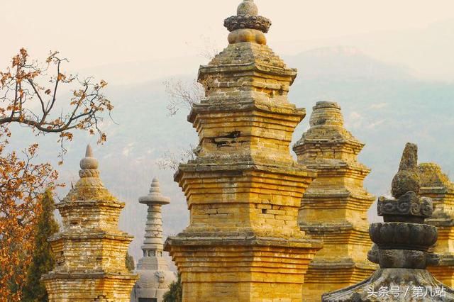 河南少林寺被坑有点蒙，一鸡两吃绝对新骗术，后来者一定提高警惕