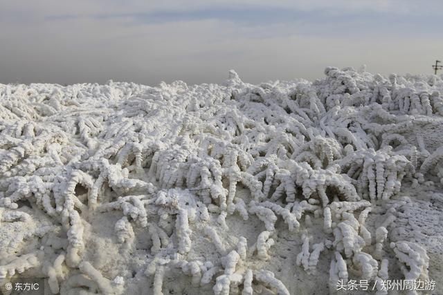 距离郑州3个小时车程，有一个盐湖拥有4000年的产盐史