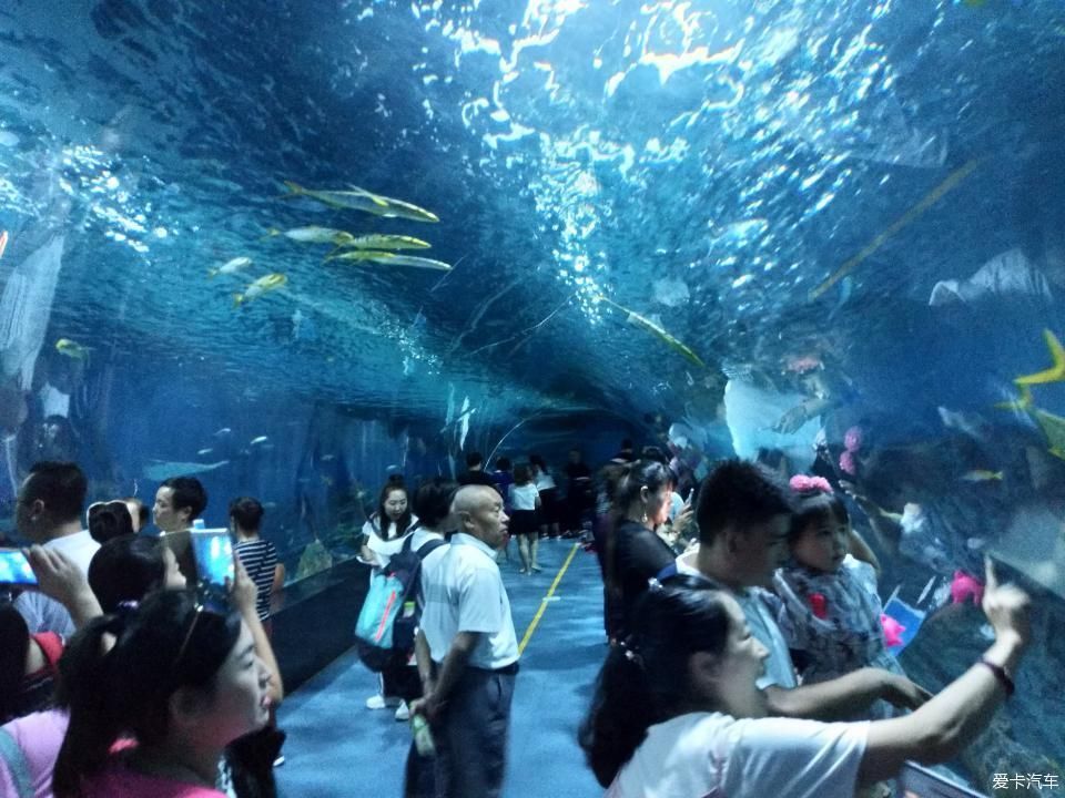 天津海昌极地海洋馆一日游