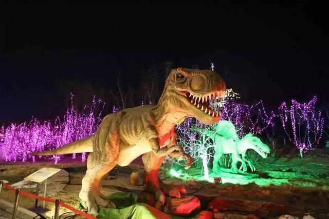 我在唐山 欢喜过年 走！约上小伙伴，到南湖景区看灯展去！