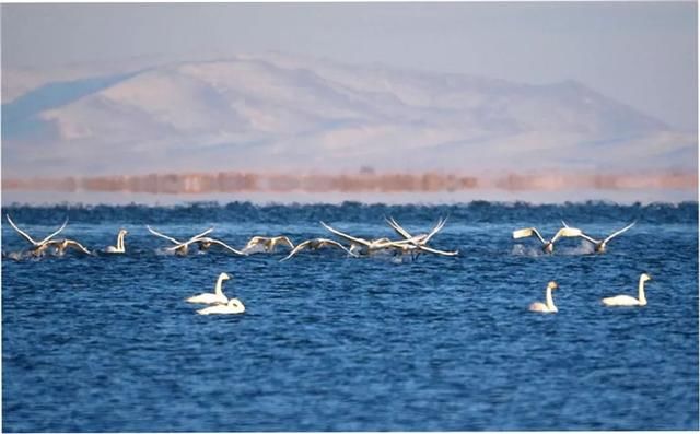这世界许你一双脚,就请走出自己的精彩!