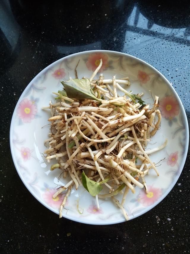 春天最好吃的野菜