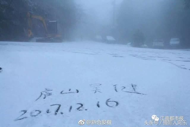 江西下雪了，庐山上的小猴子被美景惊住了