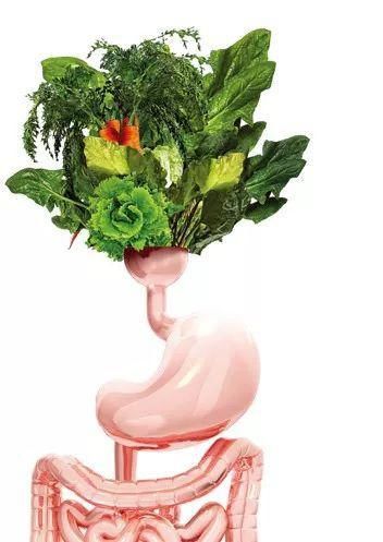 营养成分表计算公式