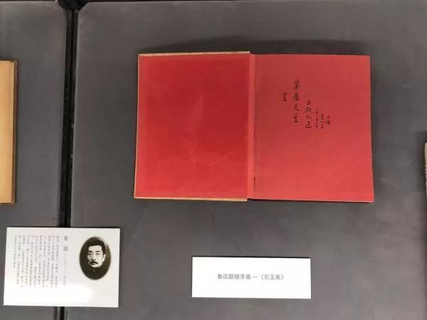 五四运动百年,在上图读《青年杂志》与鲁迅胡