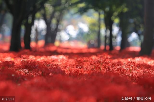 贯彻执行不会写？看完这篇文章帮你解决2018省考申论的大问题！