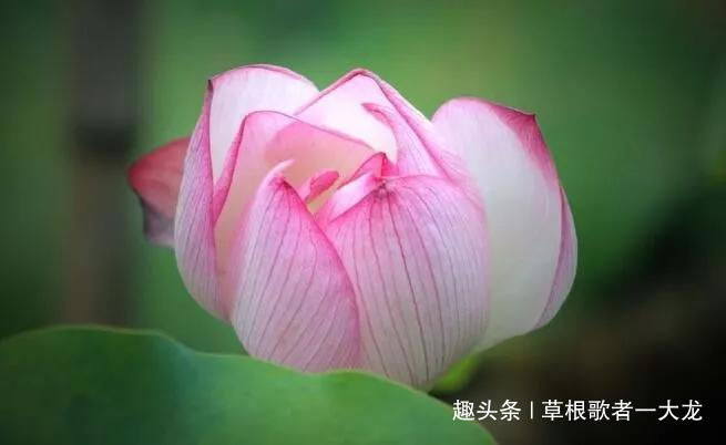 a已经提考虑的3个星座,已经其实分手很久v星座天蝎座男生图片