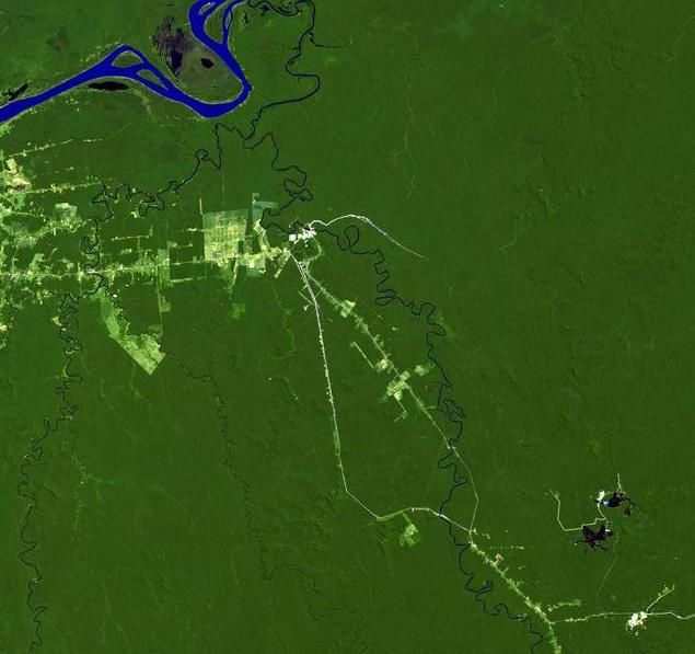 星照片,地球之肺已危在旦夕,亚马逊热带雨林千