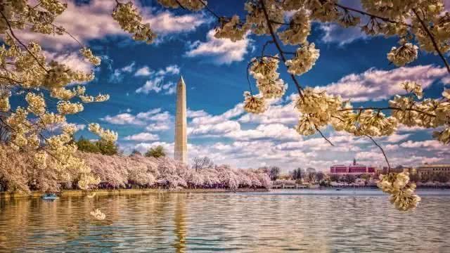 去全世界最美的花海，做最浪漫的事