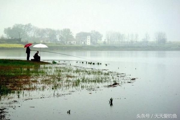 夏季钓鱼4大误区，绕过这些“坑”，渔获轻松翻几倍