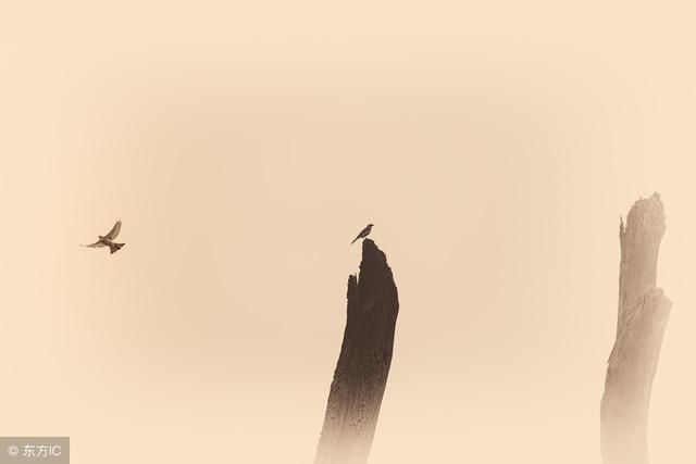 发一个双色球赚钱概率最高的规律,今年买房找