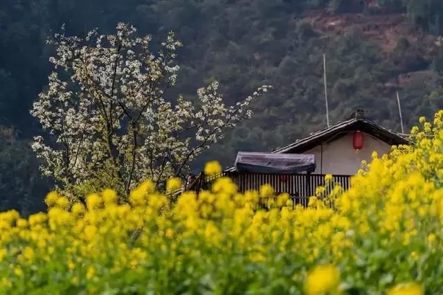 春天去哪里？春季最佳旅行地榜单！