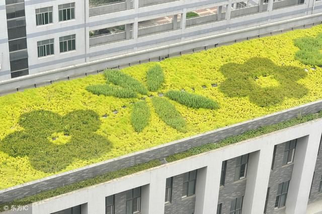 万科规范实施景观绿化，居住区内部景观绿化设计规范