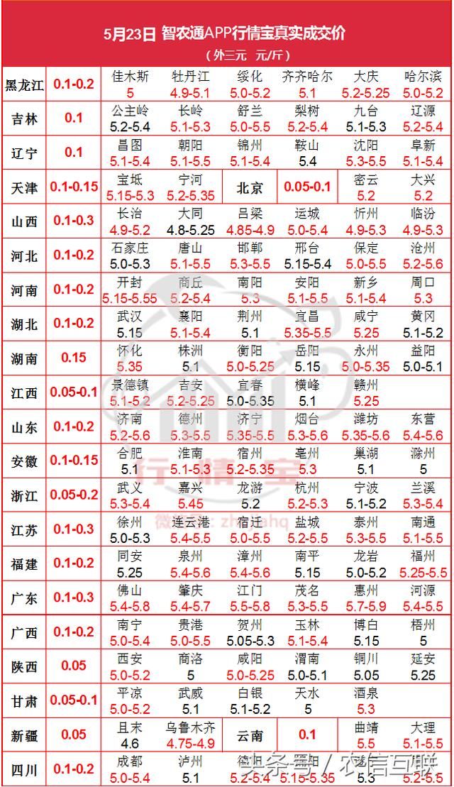 23日 一个字“涨”，这两天不卖猪，别老打电话问我卖猪不！