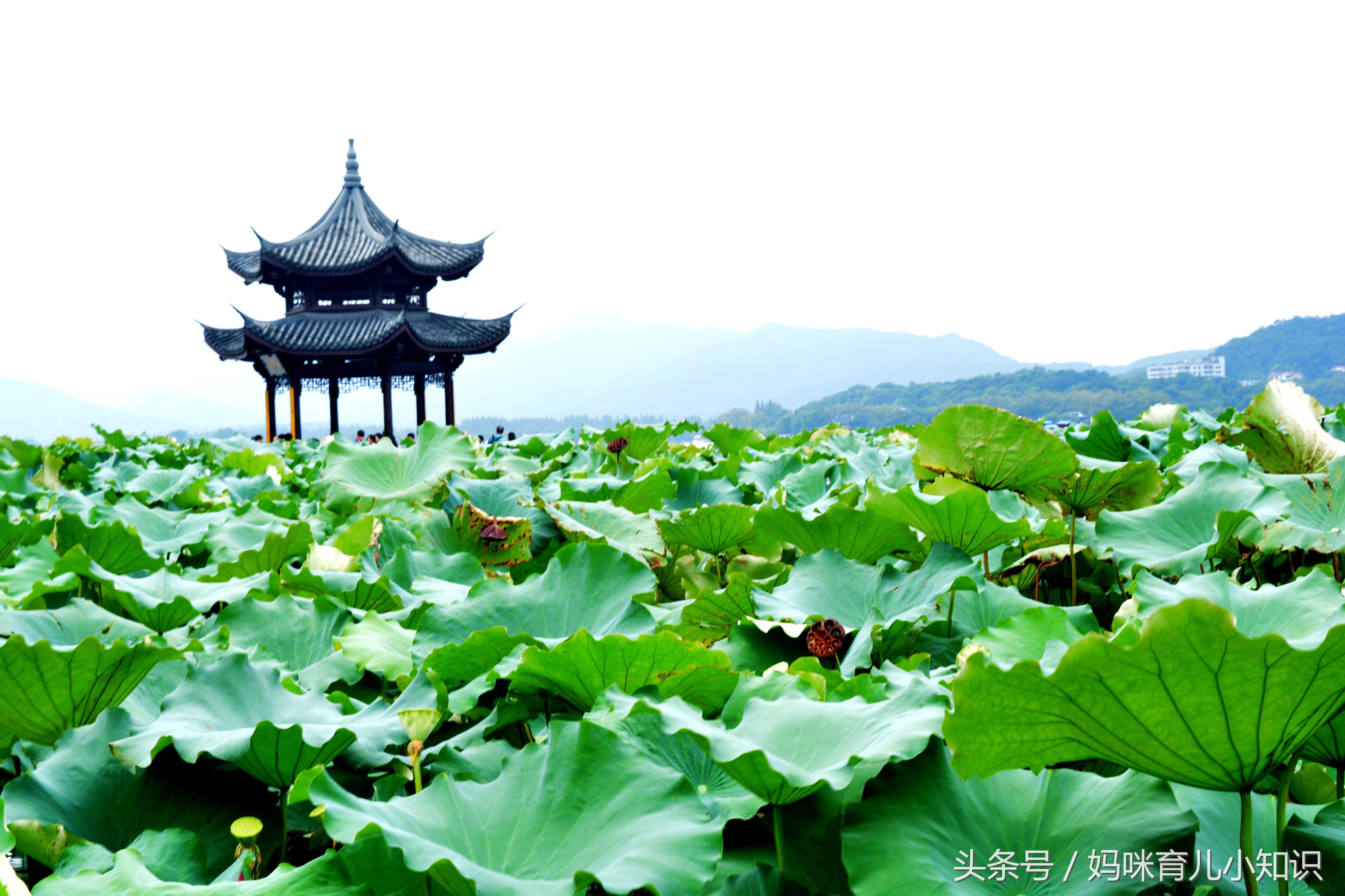 旅游:“杭州西湖”，上有天堂，下有苏杭