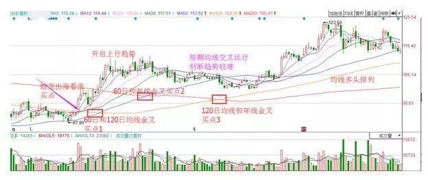 一个专业交易者的操盘感悟：炒股多年只买一种股票，值得读百遍