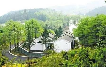 重磅!宁波全面启动农村宅基地及住房确权登记