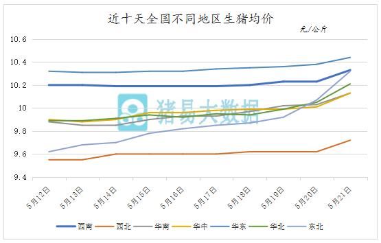 连涨8天！猪价能否一路上行？