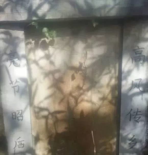 舒城庐镇又有新发现,和一位大军阀有关! 诚博国际娱乐的官网