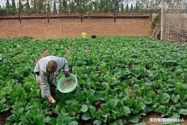 回家路上抱到弃婴，十五年后亲生父母接她回去，我哭了