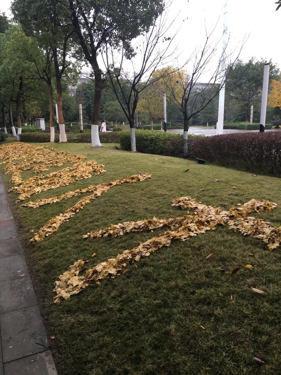 保洁阿姨的少女心:落叶拼出表情包_【今日爆点