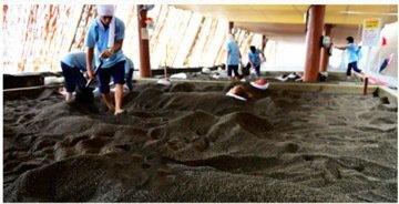 斑马旅游定制师泰迪