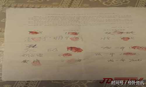 大同县:村支书注册合作社套取黄花扶持资金 种