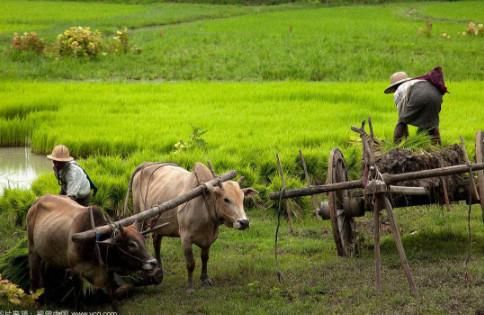 2018年农村医保新规定,这几类人的福利到了,看