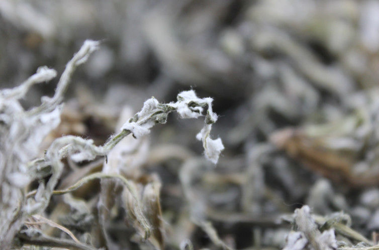 小食物也有大功效!专家献策:1招助你摆脱胃病