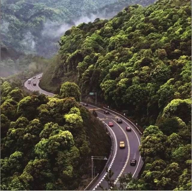 浙江隐藏的7条如诗如画的绝美“天路”你去过几条？