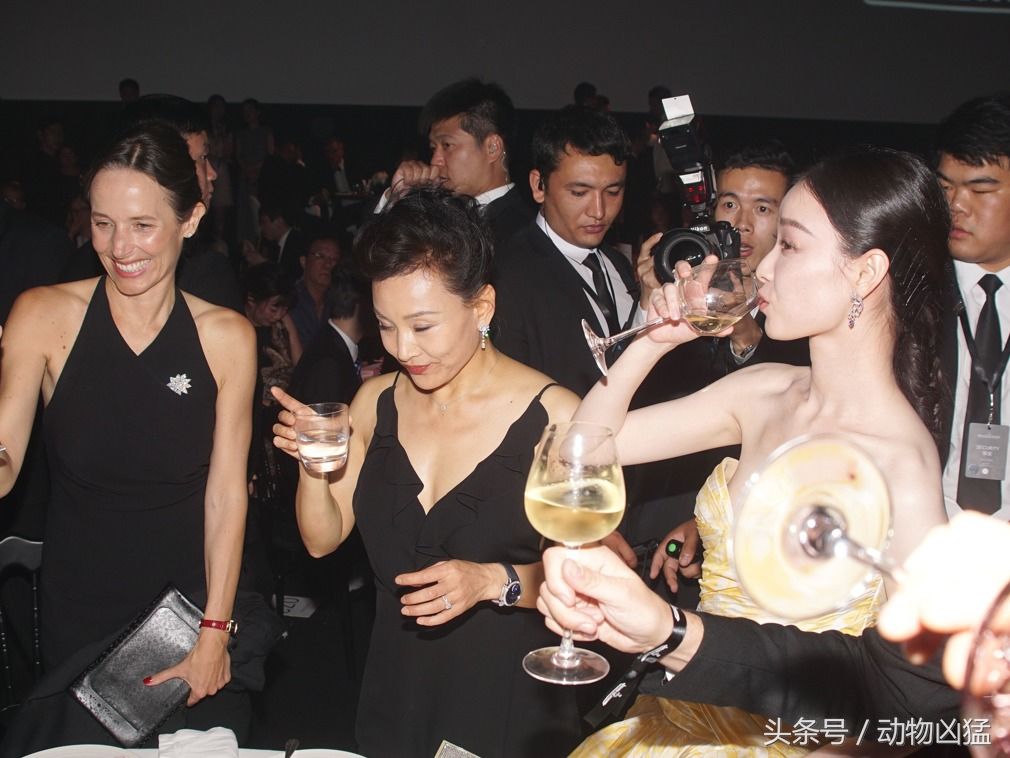 上海电影节开幕 明星大腕云集_【快资讯】