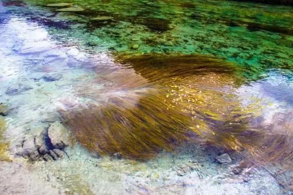 稻城！去了就不想回家的地方