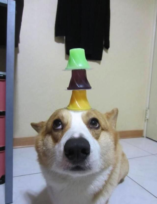 t01af2244c0c150c6e8.jpg