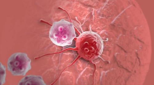 癌细胞碰到死对头,饮食中常吃4物,癌毒素