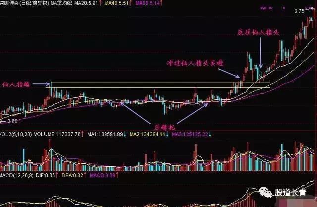 一位资深老股民肺腑之言：万能均线的操作技巧，学到就是赚到