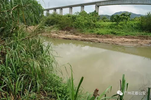 见义勇为救两溺水小学生,广州一好男儿获奖10