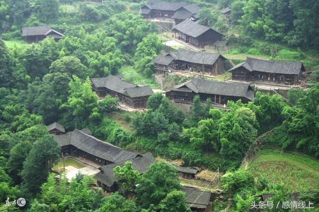 妈妈非要我嫁二婚男,结婚当晚,老公的行为让我直接报警