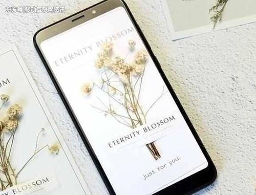 百元机没好货?这3款你可闭着眼选,用不到三