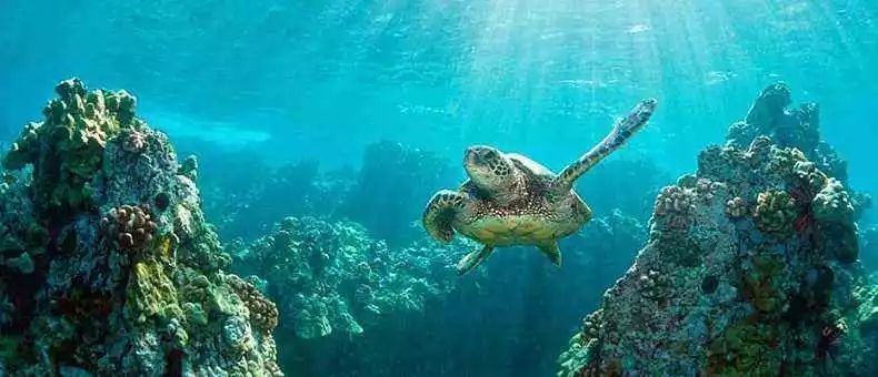 权力的游戏第八季剧透:世界尽头的冰与火之歌