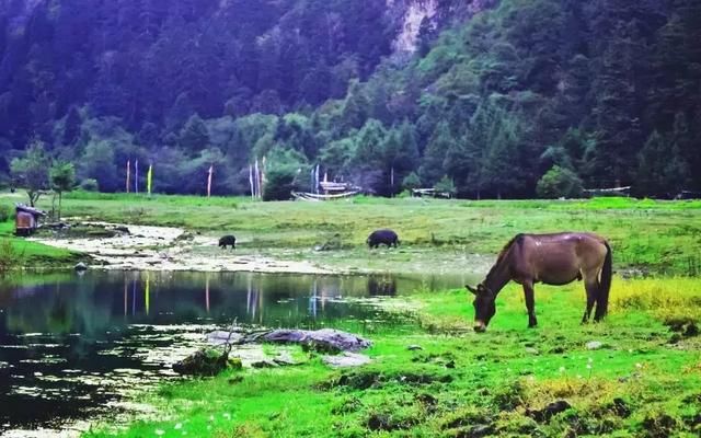 云南｜或许你听说过“雨崩”，但没有来过这个地方！