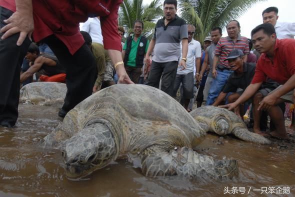 菲律宾近海岸半夜发生这样一幕，附近居民知道后都忧心忡忡