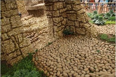 女子外出旅游参观博览会，发现一所怪房子，凑近看清后不禁惊奇了