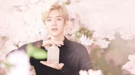 杨幂、范冰冰、林允还有各大网红,谁是2018带