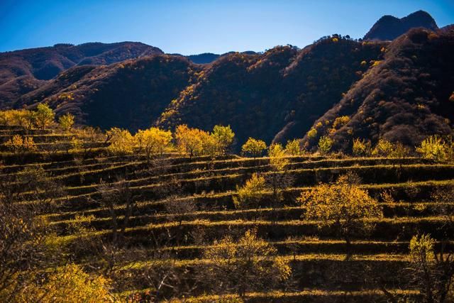 那些秋日里的美好画面,如何让我不期待冬天~