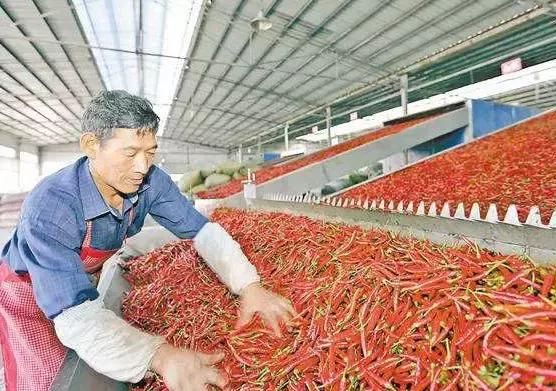 推荐：十个效益不错的农村加工厂致富项目，快人一步抢占商机！